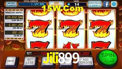 Sistemas de Segurança Jili899